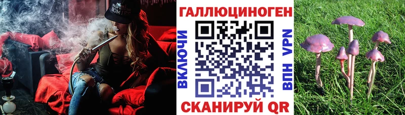Псилоцибиновые грибы Psilocybe  Макушино 